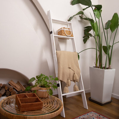 Ladder Shelf