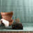 Performance Wool Indoor Rug-61241059