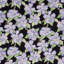 Tissu Schumacher x Victor Glemaud Fabienne-70182171