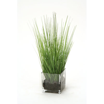 13'' Faux Succulent Grass in Glass Pot