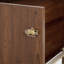 Grand lit escamotable, armoire-lit en bois de pin avec centrale électrique et panneau de décoration en rotin, noyer-52654293
