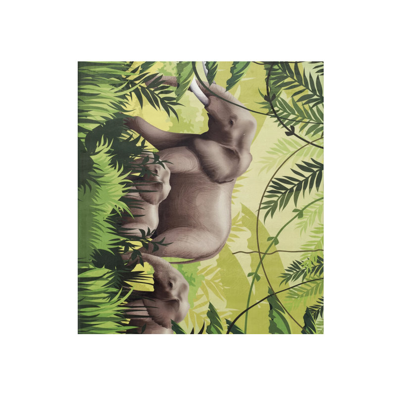 Lovely 110cm X 170cm Area Rug