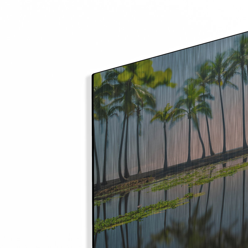 «Palm Tree Reflections» par Dennis Frates, H 12 po x l 16 po