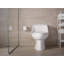 San Raphael™ 1.28 GPF Water Efficient Elongated One-Piece toilet (Seat Included)