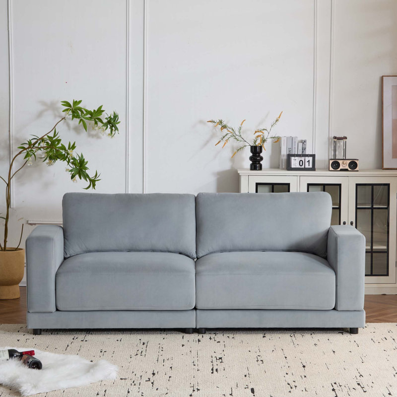 Sapkal Fabric Upholstered 2-Seater Sofa, Light Gray Velvet