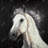 Rustic White Farm Animals Tablecloth | White Star Horse Decor