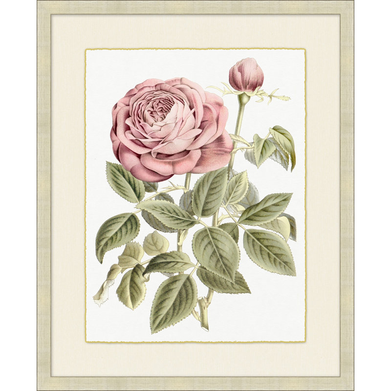 Blush Florals 1 Painting