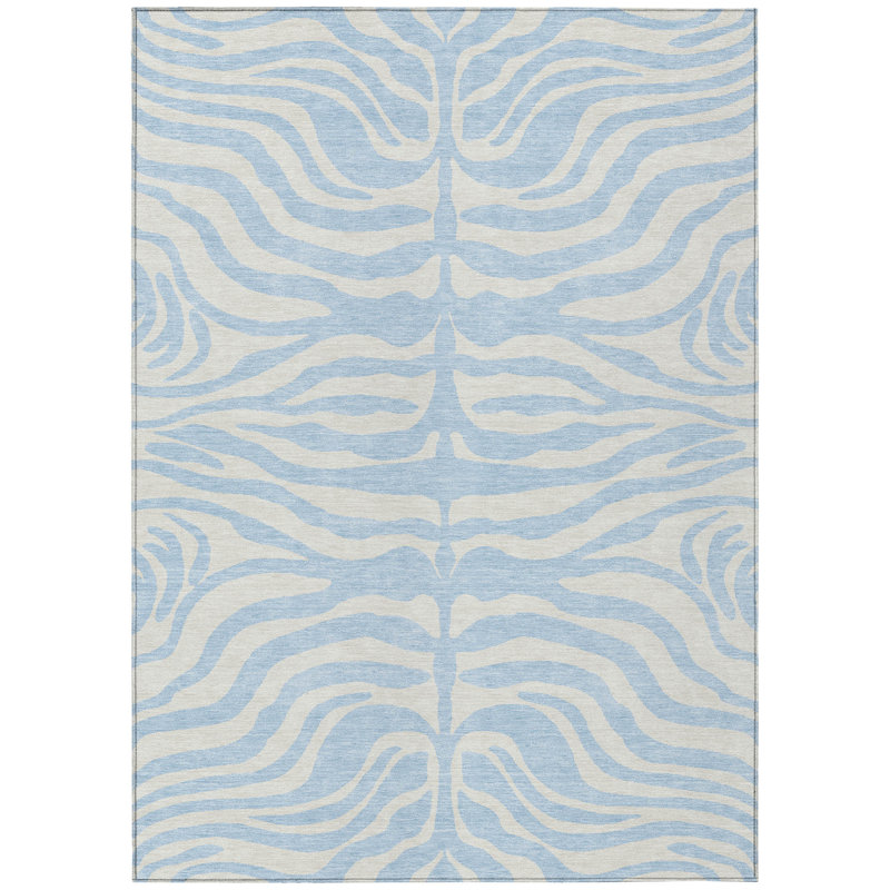 Machine Washable Indoor/Outdoor Chayden ACN1042 Sky Rug in , Rectangle 1'8" x 2'6", Rectangle 5' x 7'6"