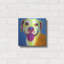 «Pit Bull - Daisy» par Dawg Painter-1228331662