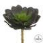 Tige de echeveria artificielle