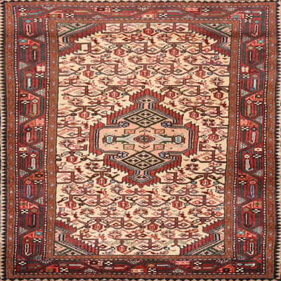 Bogarella Wool Oriental Indoor Rug