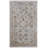 Cadiz Traditional Floral & Botanical Ivory Area Rug-660445717