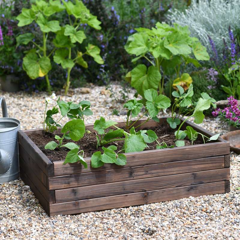 Ayube Wood Raised Garden Bed, 22.50cm H x 80cm W x 60cm D