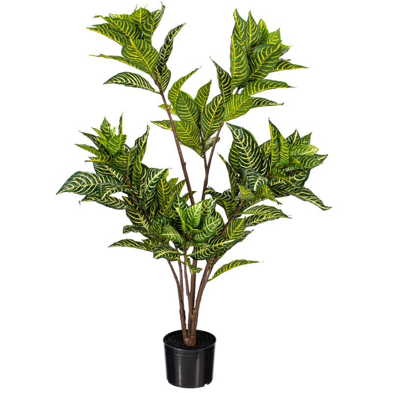 44 po Alocasia Zebrina, H 44 po x l 20 po x P 20 po