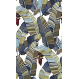 Banana Palm Dream