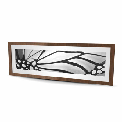 Monarch Wings Closeup - Framed Matted Print for Home Decor