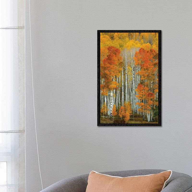 Dalmatian Autumn by Bill Sherrell - Print on Canvas, 66.04 cm H x 45.72 cm W, Black Framed