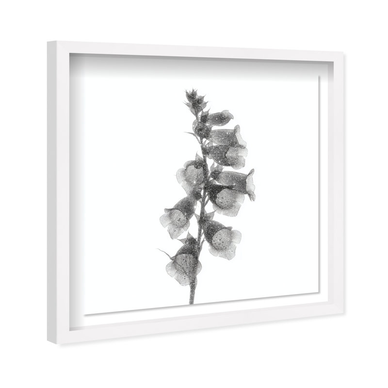 Ossified Petals II Shadowbox Floral & Botanical Print by Oliver Gal, Black Frame, 12 x 12, 13.5"H x 13.5"W, White Shadowbox