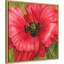 «Vivid Poppy II» par Grace Popp, reproduction d'art sur toile encadrée-109519535