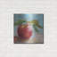 «Impressionist Fruit Study I» par Ethan Harper-101439081