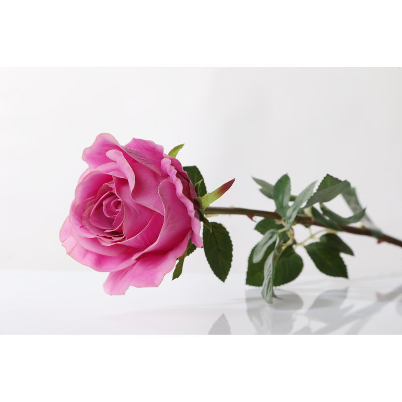 Large bud Rose, Brigh Pink