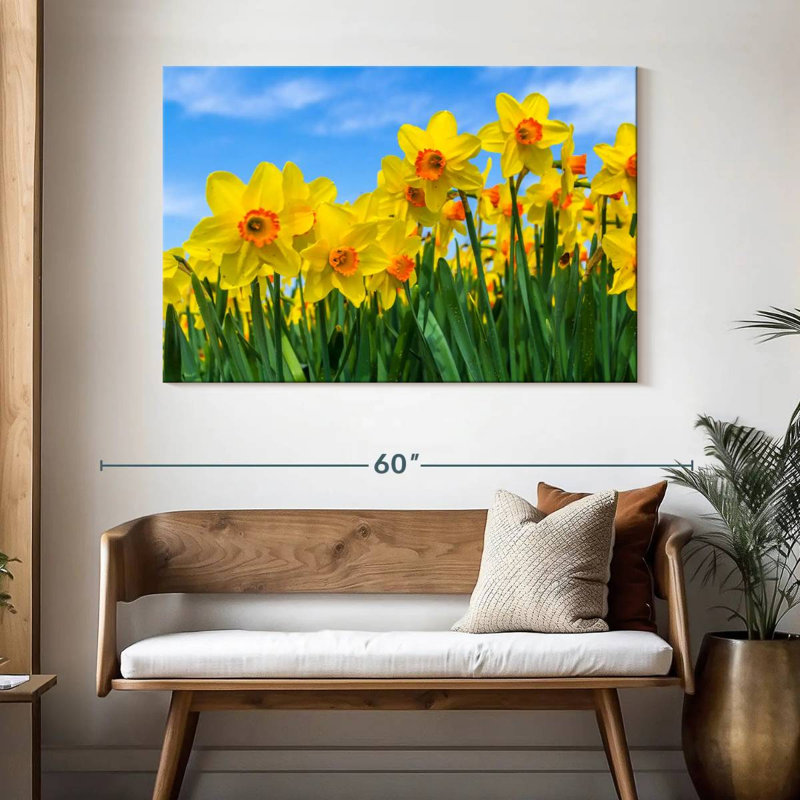 Jonquilles d'été Harnek, H 32 po x l 48 po