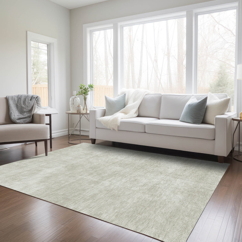Machine Washable Indoor/Outdoor Chayden ACN1018, Rectangle 10' x 14'