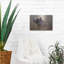 «Big Bear» par Karen Smith-1615901804