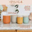 KitchenCraft Idilica Kitchen Canister with Beechwood Lid, 12 x 12cm, Putty-94408716-94408717