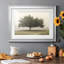 «Trees In The Fog II», reproduction encadrée de qualité supérieure - prête à être accrochée-276530696-276558442-276530694
