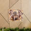 No Frame Print on Canvas-100038957