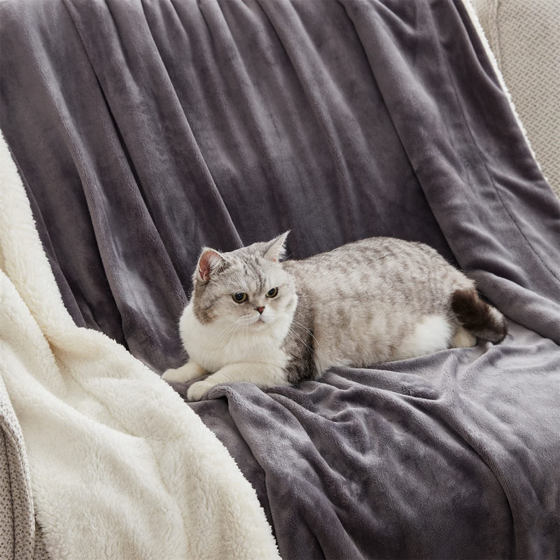 Bernathy Throw Blanket