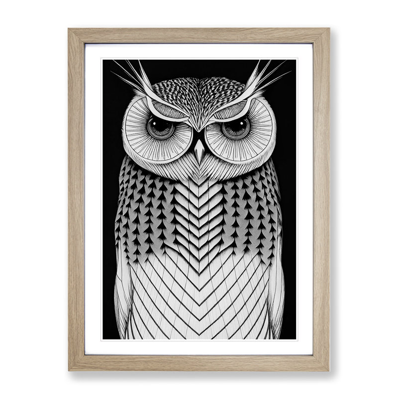 Owl in Monochrome No.4 - Framed Print, 64cm H x 46cm W x 2cm D, Oak