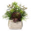 Faux Succulent Plant in Cement Pot