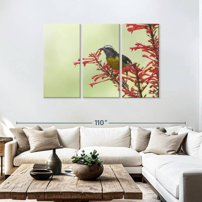 Ronce nourrissant un oiseau bananier, H 48 po x l 74 po
