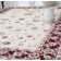 Arliz Oriental Indoor Rug