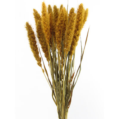 Mixed Assortment Arrangement