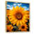 Cadre naturel flottant