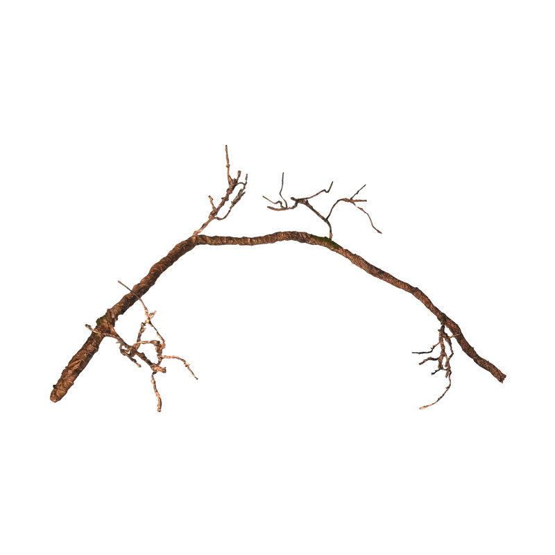 Ensemble d'accessoires flexibles pour vignes grimpantes pour reptiles