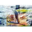 «Flying» par Parvez Taj, impression sur toile tendue-28848655