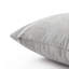 Dardel Velvet Scatter Cushion Cover-1585705171