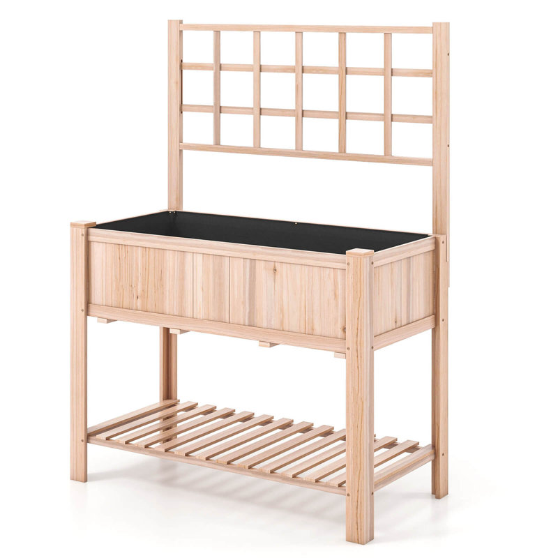 Jovonne Wood Raised Garden Bed with Trellis