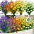 Mixed Arrangement-1433133667