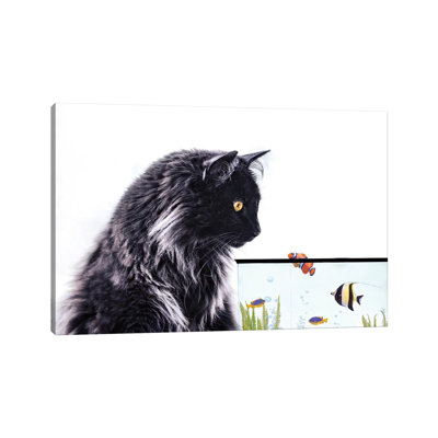 Thor and Fishtank 1 Piece Wrapped Canvas Wall Art