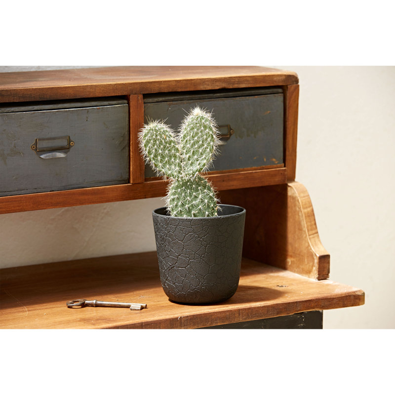 Planter, in Grey