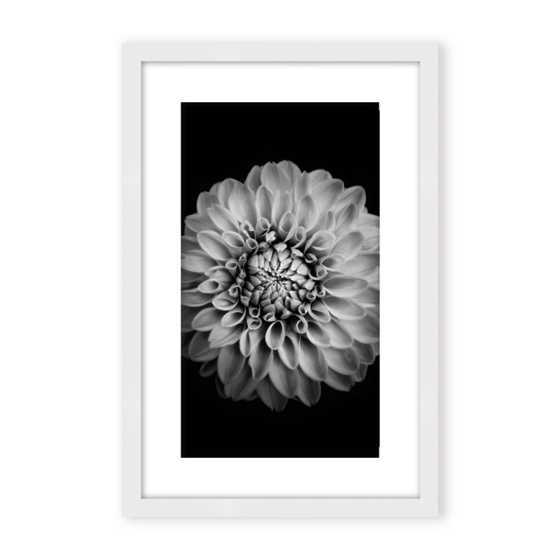 Nature Inspired Marigold by  - Picture Frame Photograph on Paper, 24" H x 16" W x 1.125" D, Black, Framed Matted Print