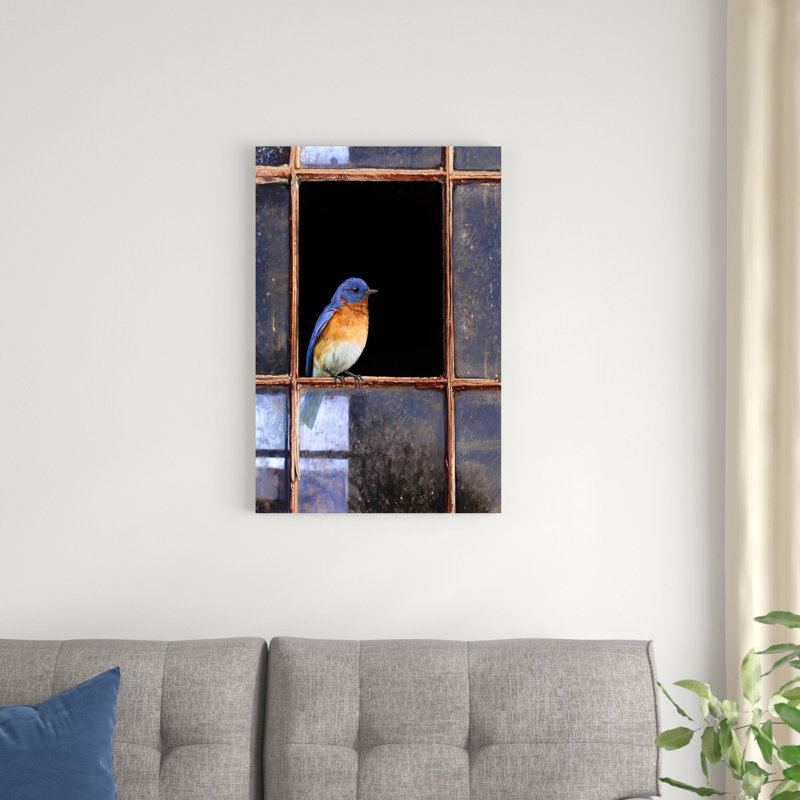 Fenêtre Bluebird, H 30 po x l 20 po x P 1,25 po