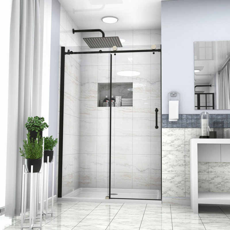 Shower Door with Glass, Black