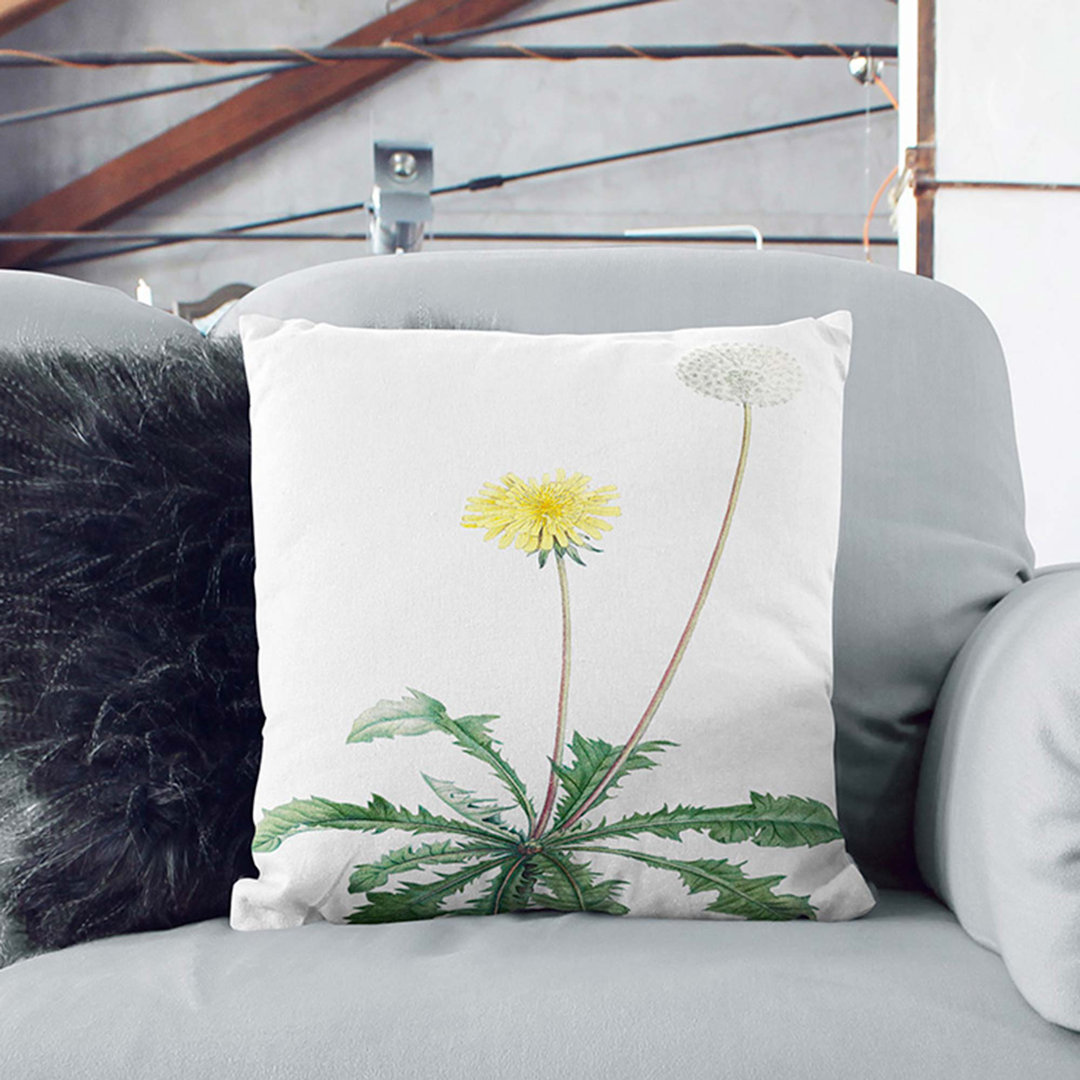 Blooming Dandelion by Pierre-Joseph Redoute Cushion with Filling