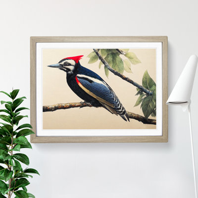 Vintage Woodpecker Bird Art Vol.3 - Framed Print